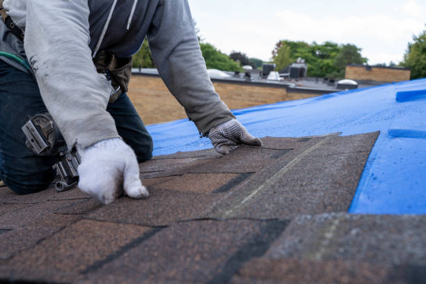 Roof Gutter Cleaning in Darby, PA